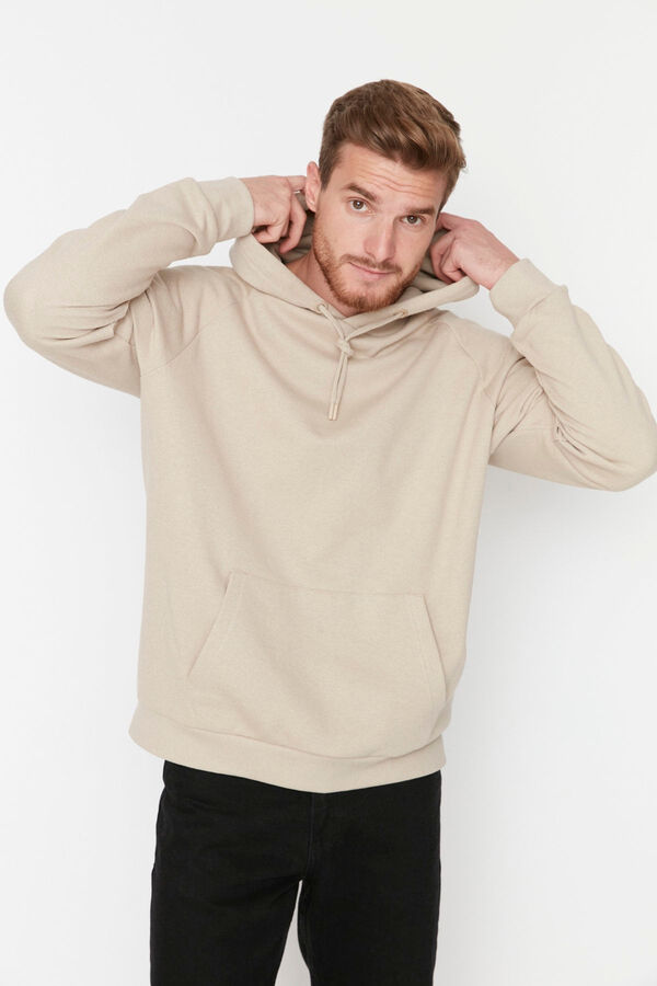 Trendyol Sudadera regular con capucha beige