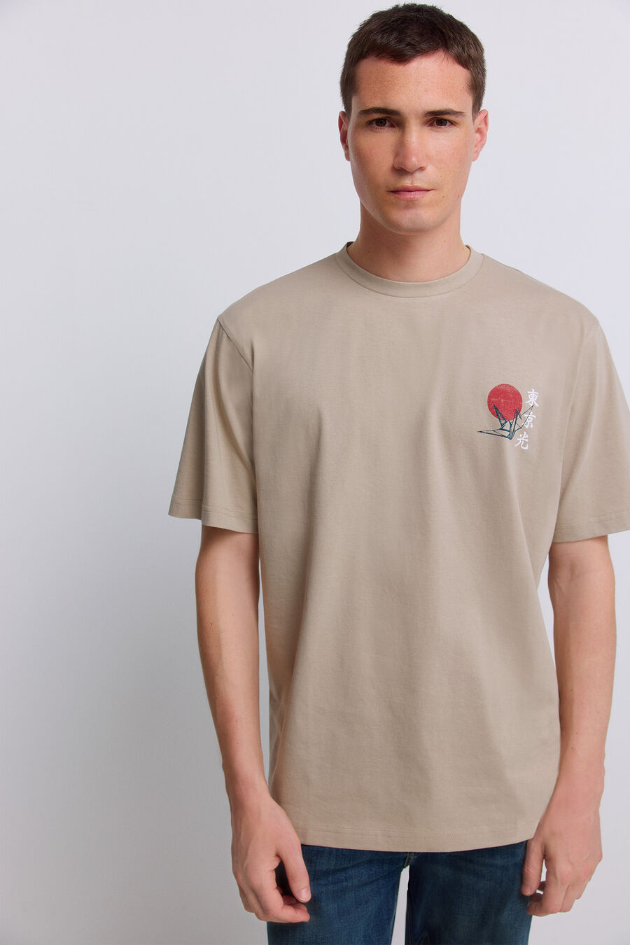 Camiseta fuji