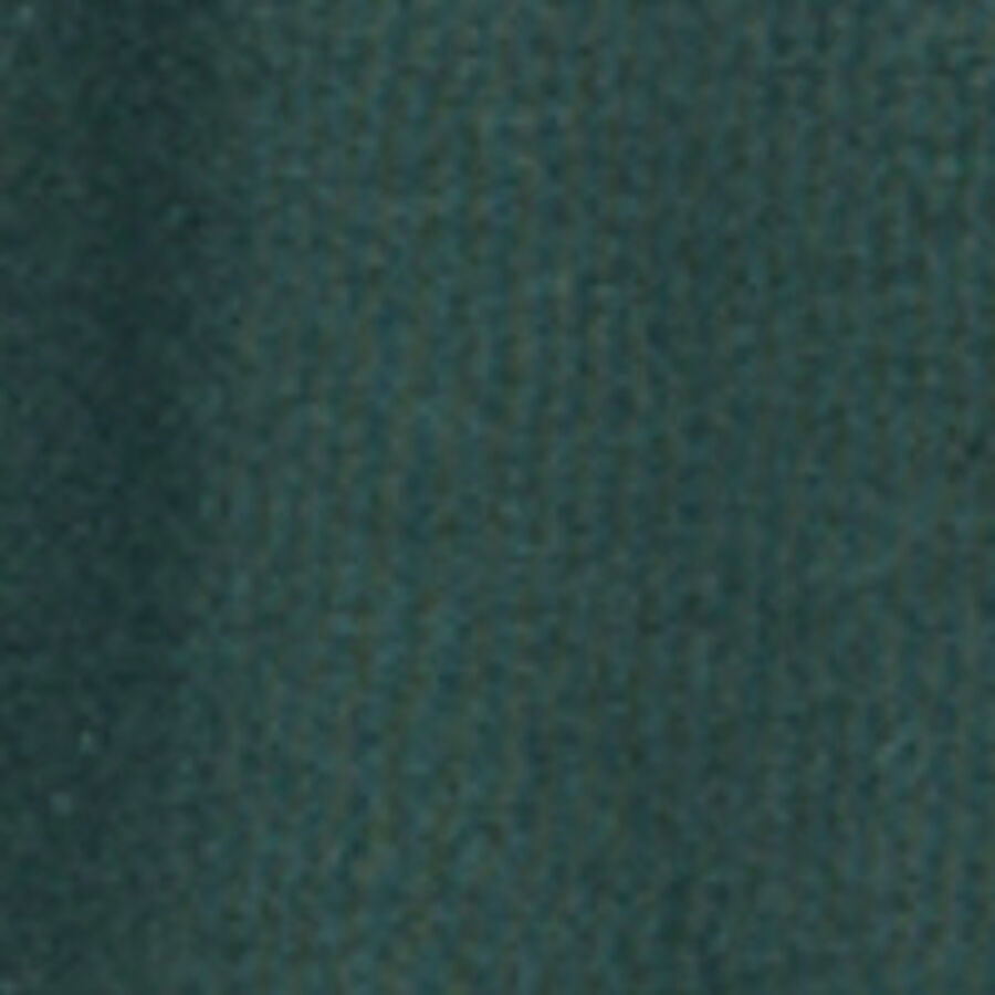 Color swatch