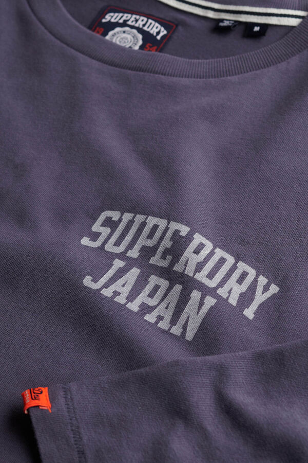 Superdry Round neck T-shirt grey