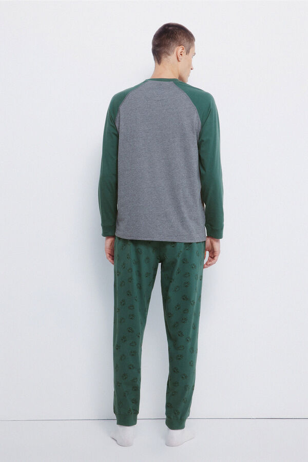 Springfield Ninja Turtles Pyjamas green