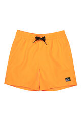 Quiksilver Logo swimwear red