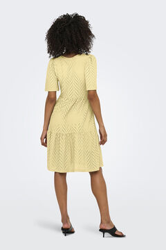 JDY Vestido corto bordado