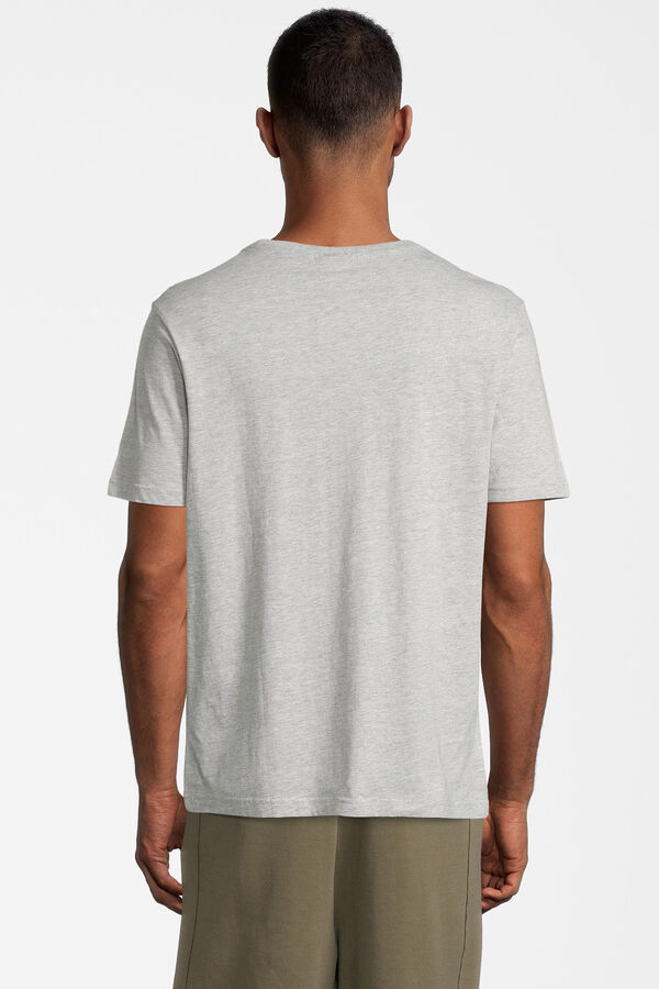 Springfield Pack of essential short-sleeved T-shirts grey