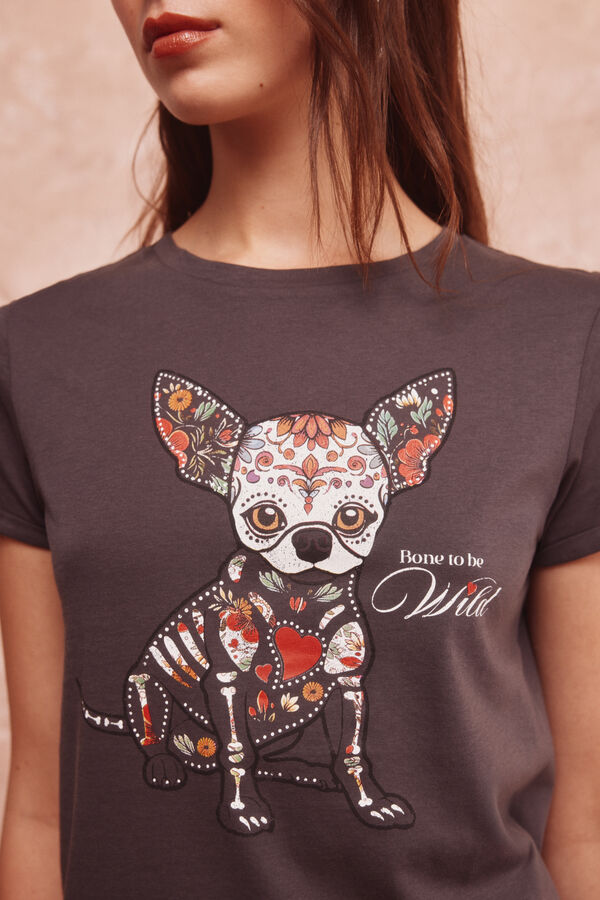 Springfield "Wild" T-shirt grey