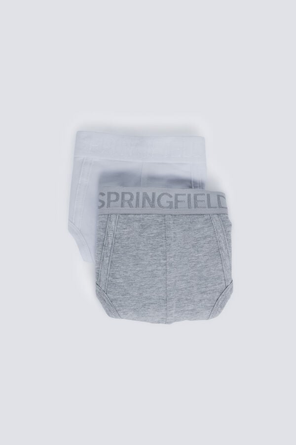 Springfield Pack of 2 essential briefs grey