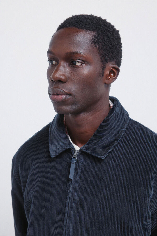 Springfield Somot jakna Plava