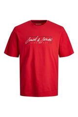 Springfield Standard plus fit T-shirt brick