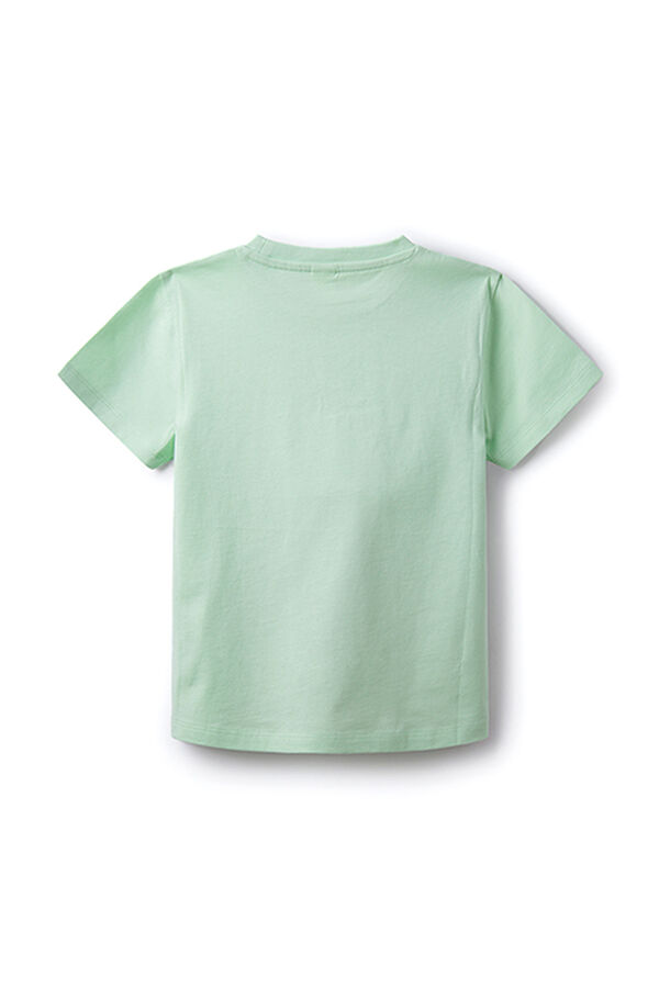 Springfield Boys' T-rex T-shirt green water