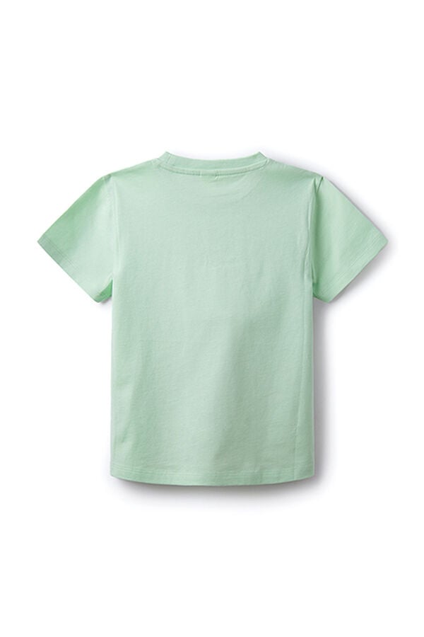 Springfield T-shirt t-rex rapaz água verde