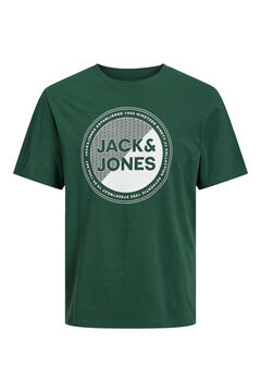 Springfield Camiseta relaxed fit verde