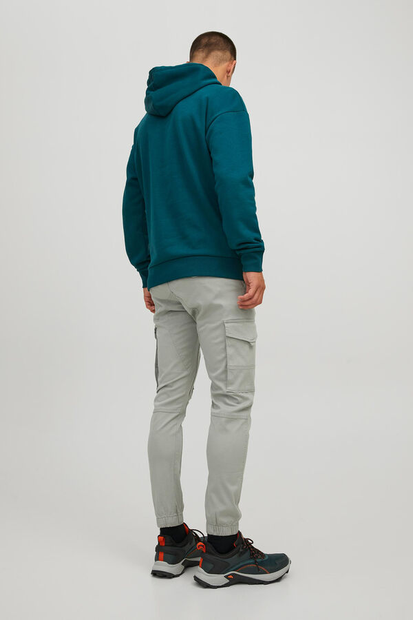 Springfield Cargo trousers gray