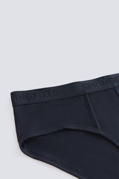 Springfield Pack 2 plain briefs