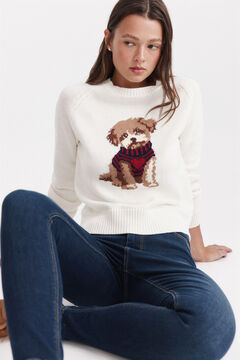 Springfield Dog jumper