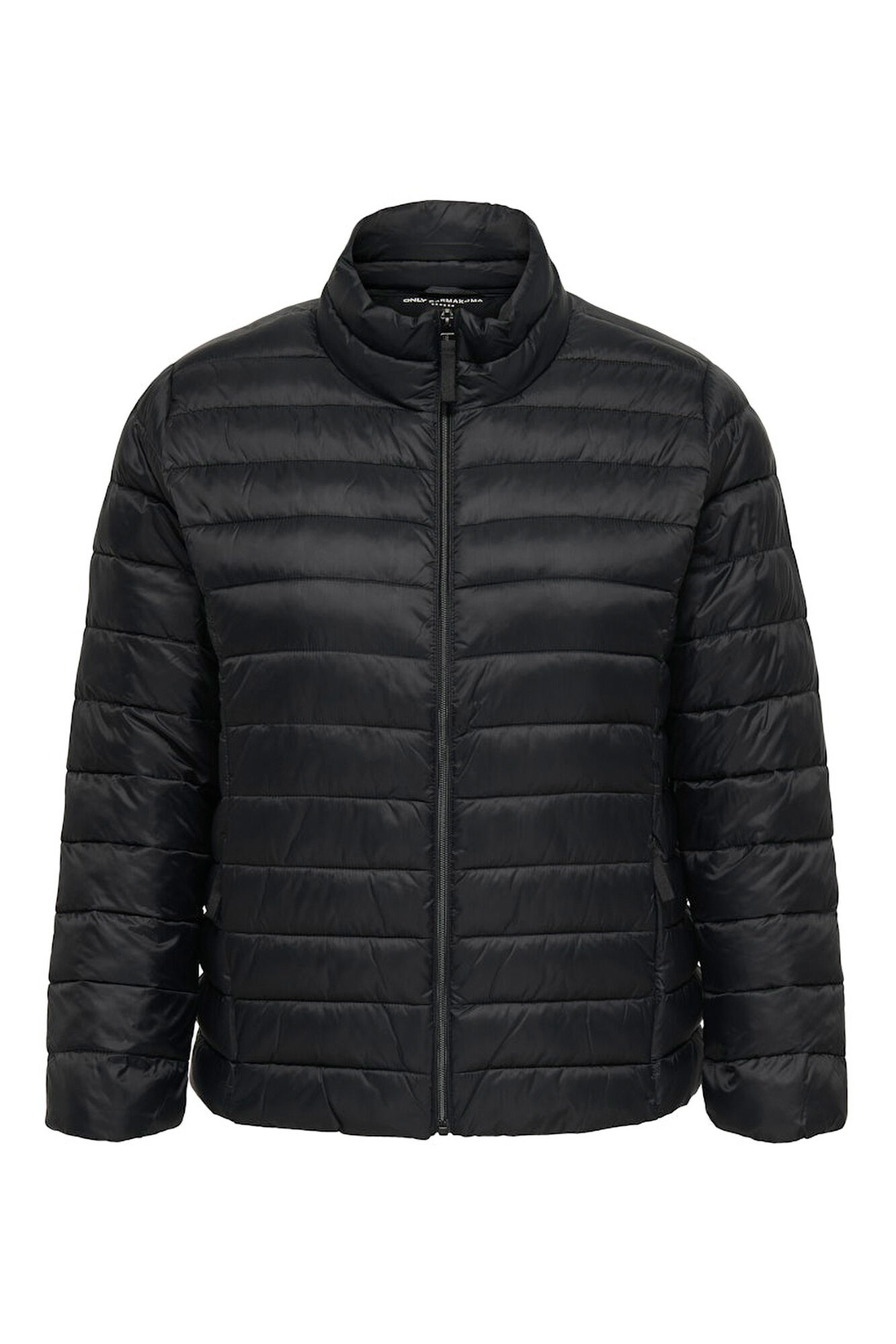 Only Carmakoma Chaqueta acolchada cremallera talla grande