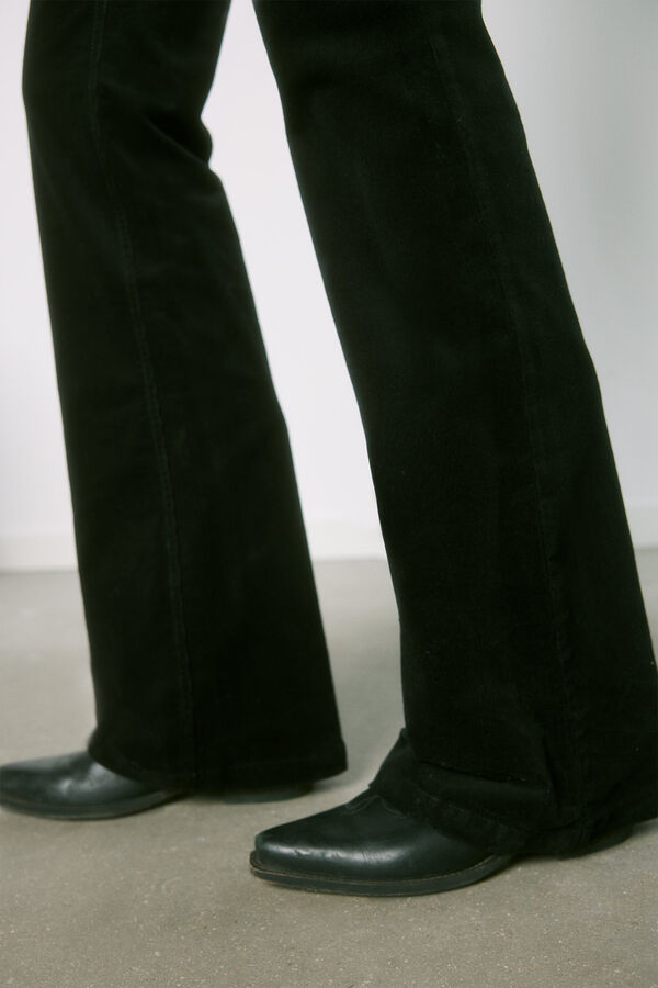 Springfield 0016 JEANS black