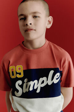 Springfield Kids Camiseta manga corta cortados y cosidos sport ni&ntilde;o