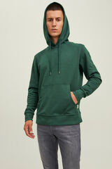 Jack & Jones Hoodie green