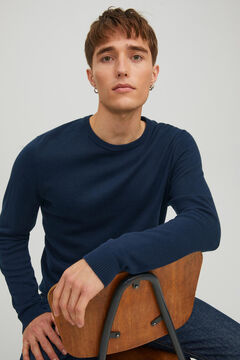 Springfield Essential jumper with a round neck navy