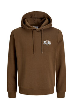 Jack & Jones PLUS Sudadera regular con capucha