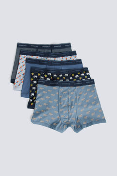 Springfield 5-pack tropic boxers