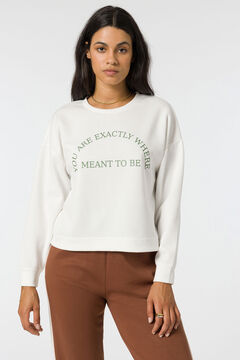 Springfield Sweatshirt with Text brown