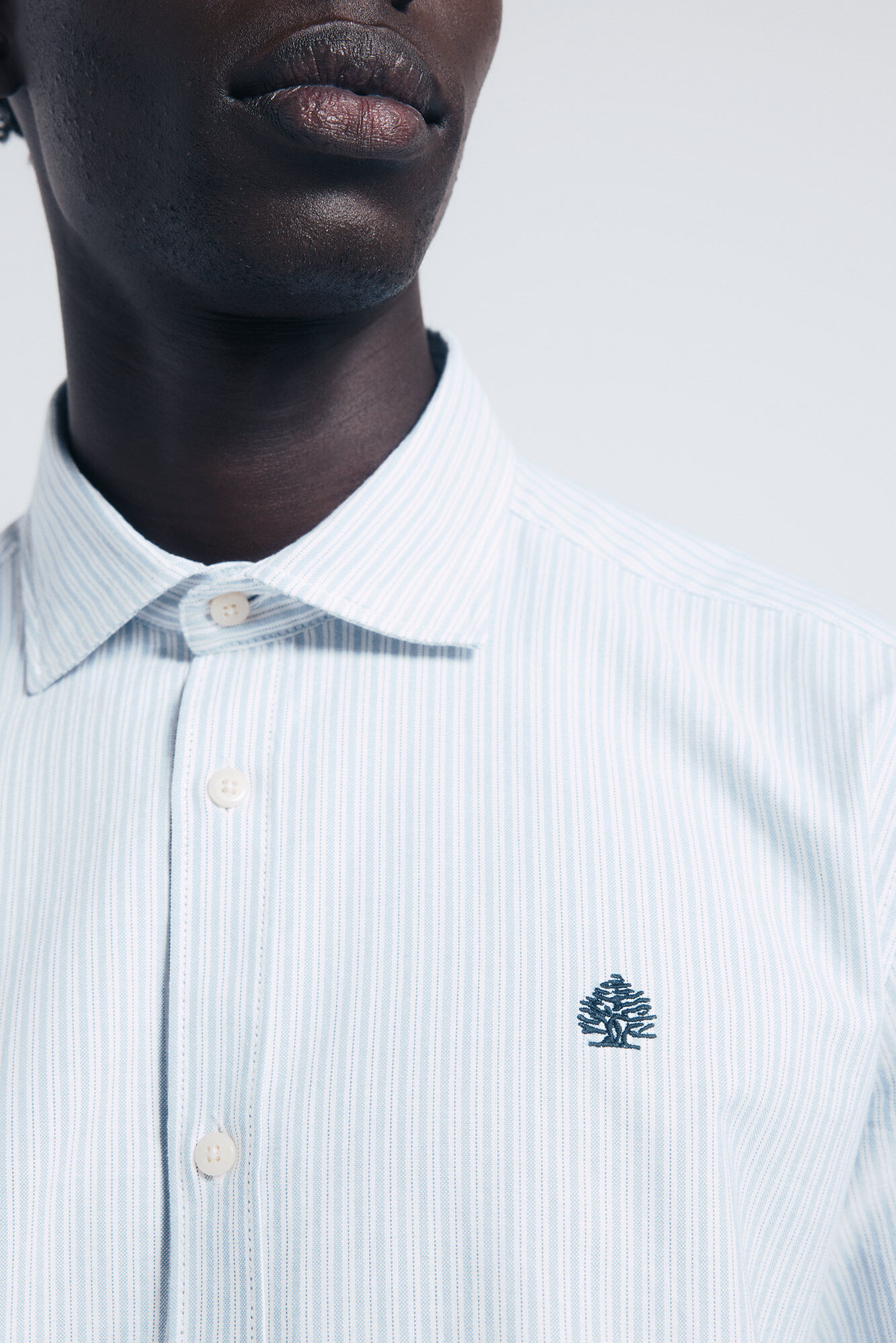 Springfield Camisa oxford riscas