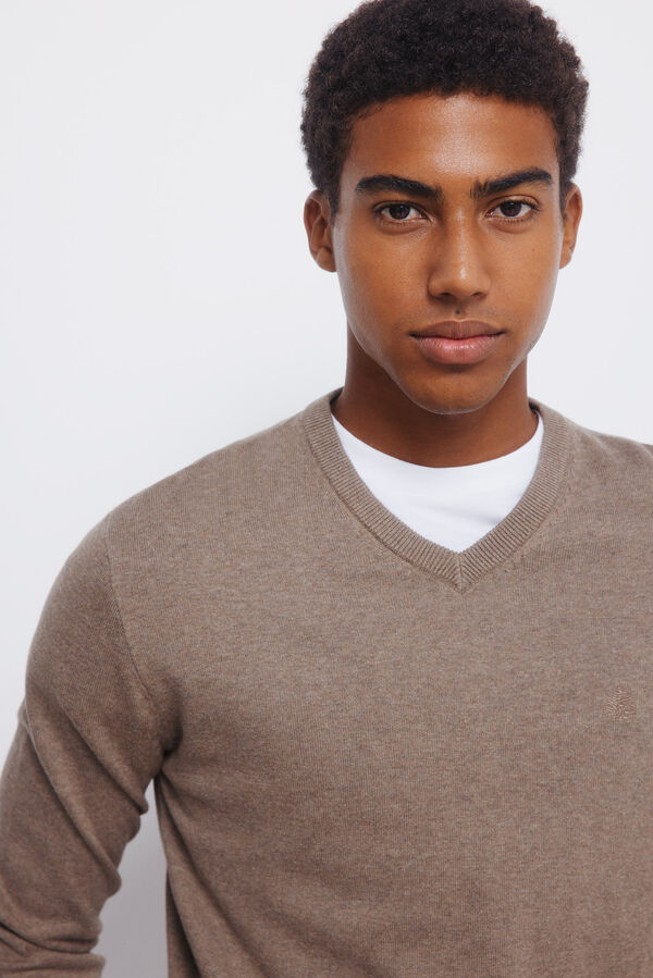 Springfield Pull basique à col en V nude