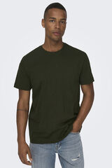 Springfield T-shirt de manga curta verde