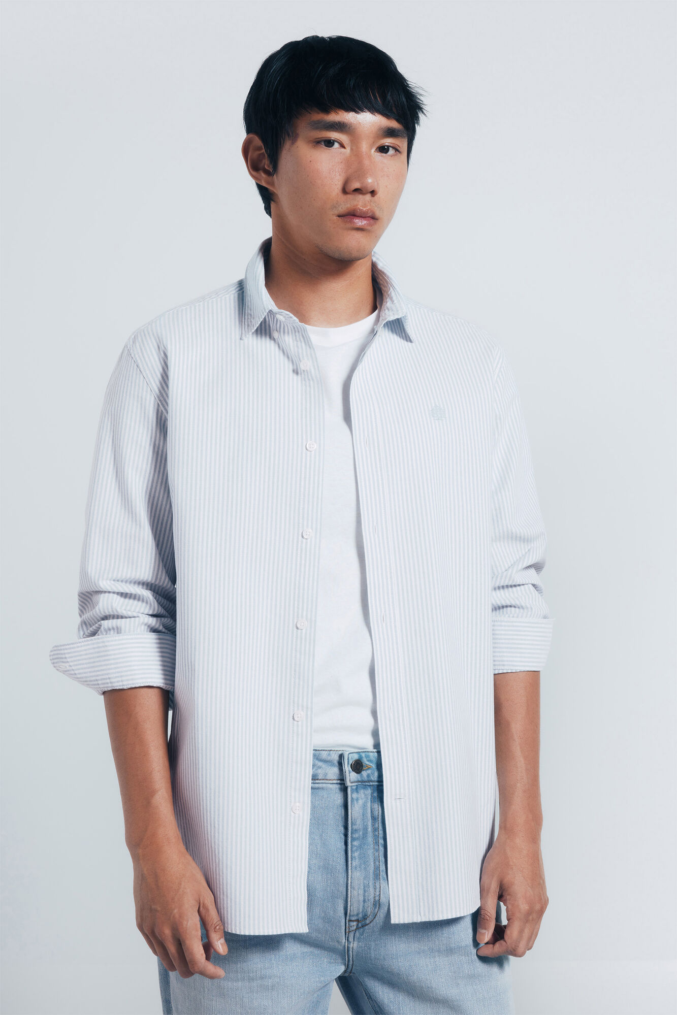 Springfield Riscas Oxford listrada