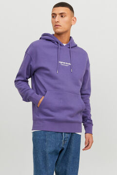 Springfield Text print hoodie purple