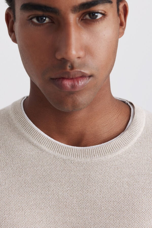 Springfield Knit structure T-shirt brown