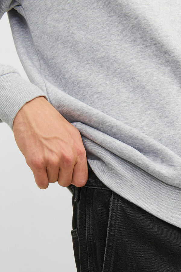 Springfield Sweatshirt Standard Fit grau