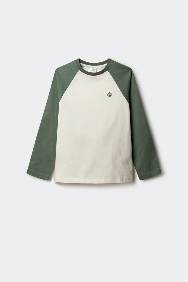 Springfield Kids Camiseta manga larga bicolor ni&ntilde;o verde