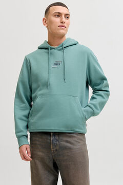 Jack & Jones Sudadera con capucha regular fit