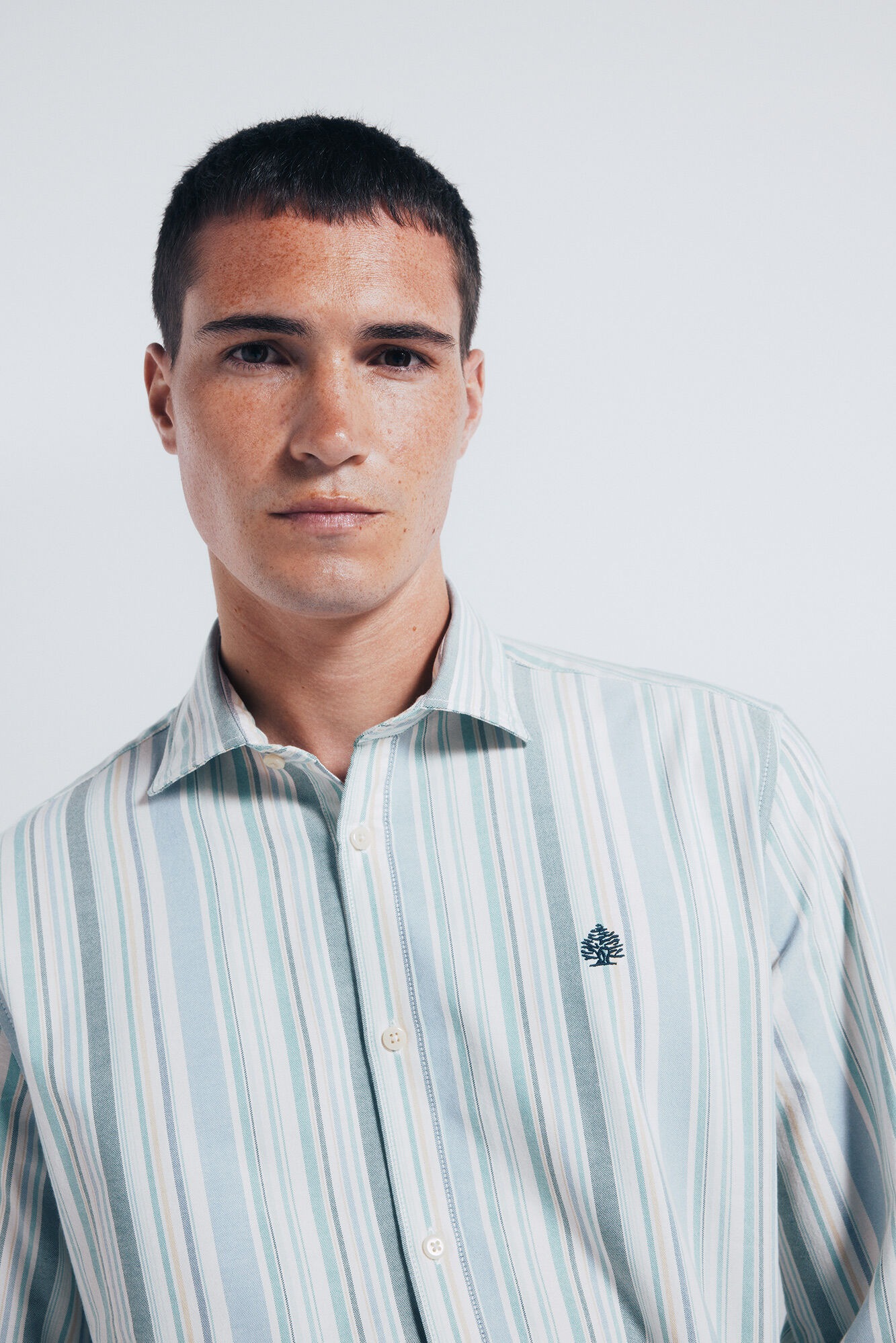 Springfield striped oxford shirt