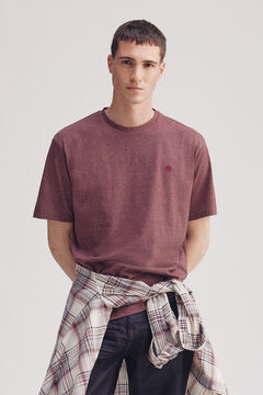 Springfield Color micro stripe t-shirt