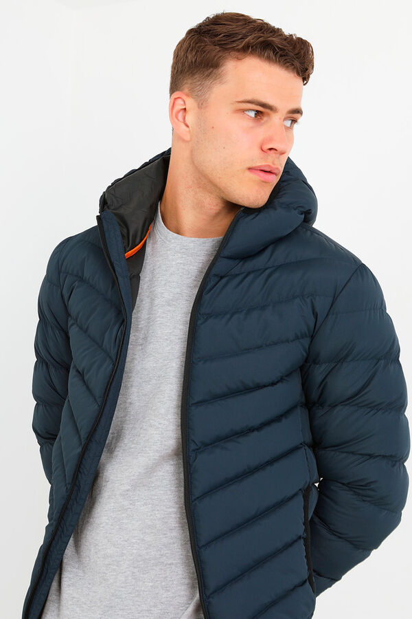 Springfield Puffer jacket with hood navy