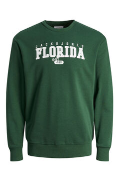 Springfield Sweatshirt padrão verde