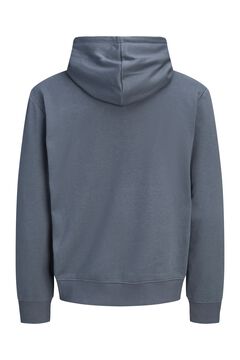 Jack & Jones Hooded sweatshirt