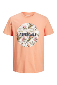 Springfield Men's cotton T-shirt terracotta
