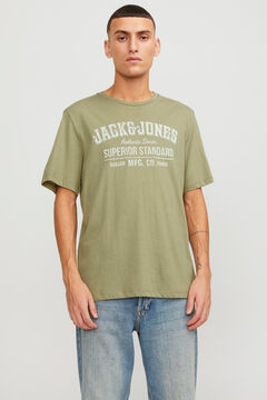 Springfield T-Shirt Standard Fit grün