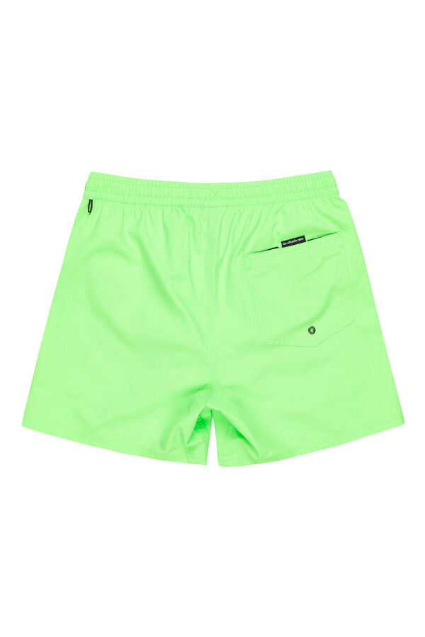 Quiksilver Logo swimwear green