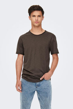 Springfield Short-sleeved T-shirt brown