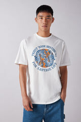 Springfield Camiseta tigres marfil