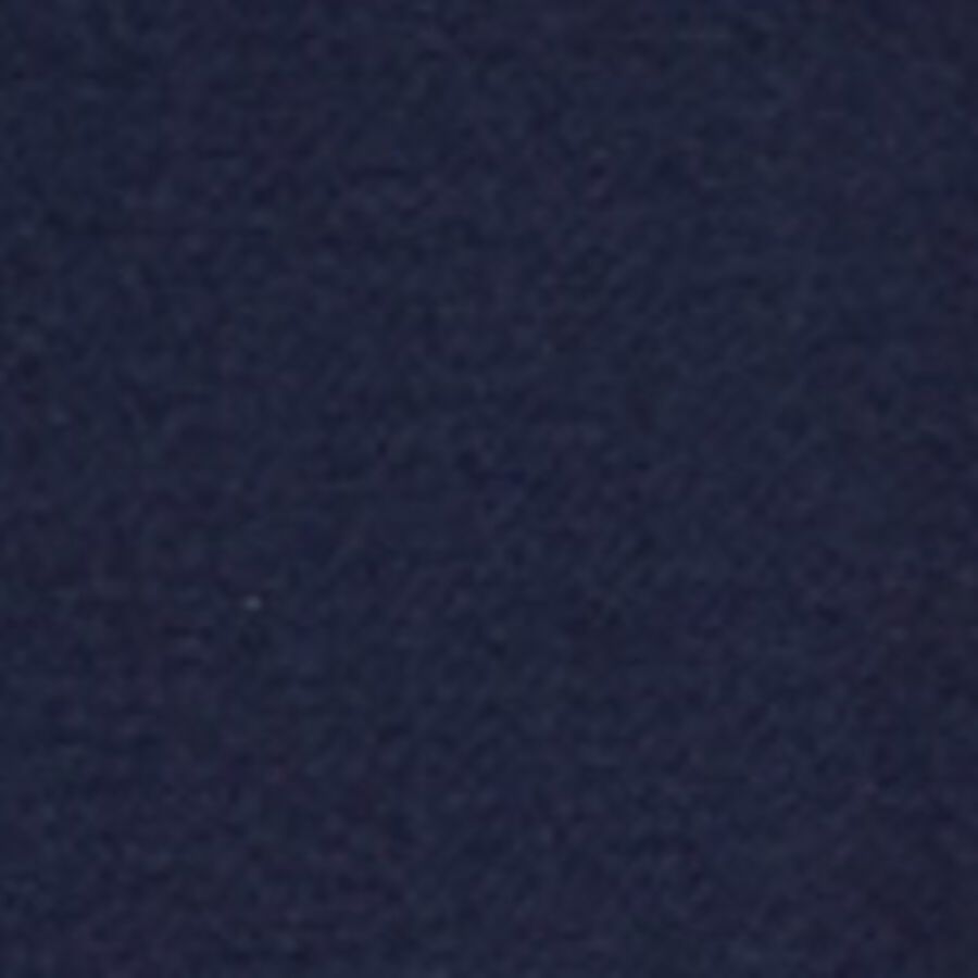 Color swatch