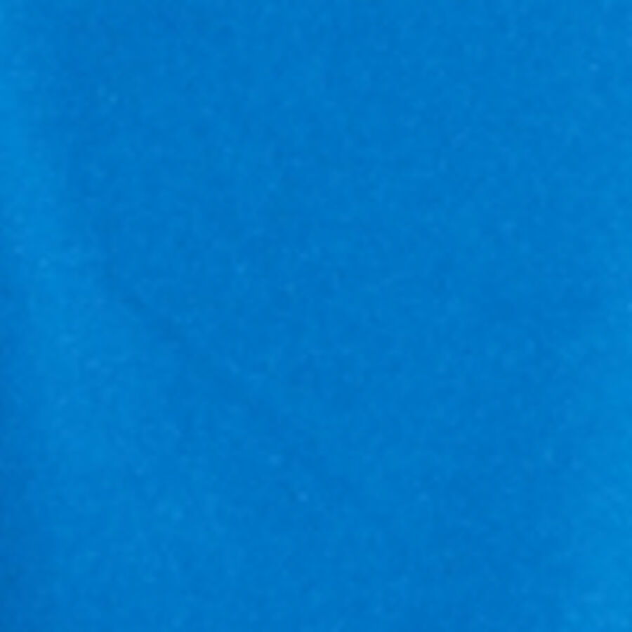 Color swatch