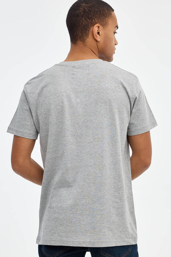 Springfield Basic-Shirt gris