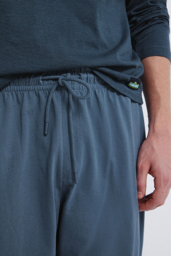 Springfield Cookie Monster Long Pajamas blue