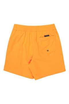 Quiksilver Logo swimwear